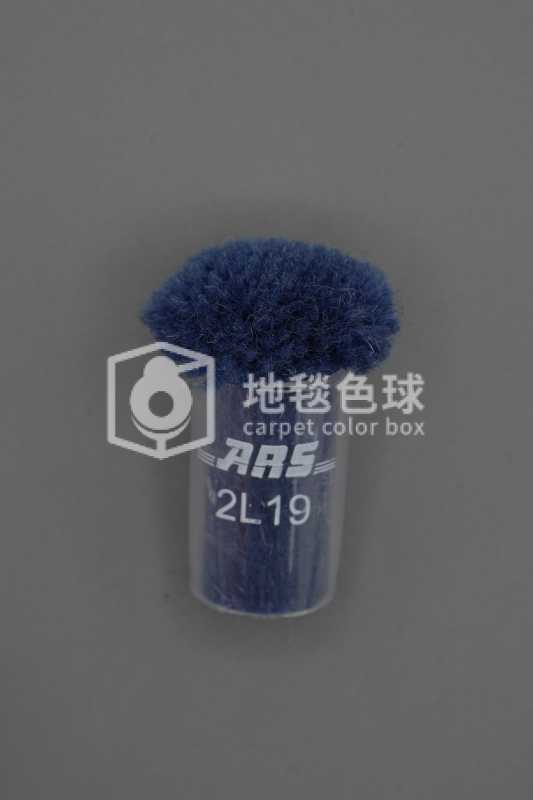 ARS 2L19
