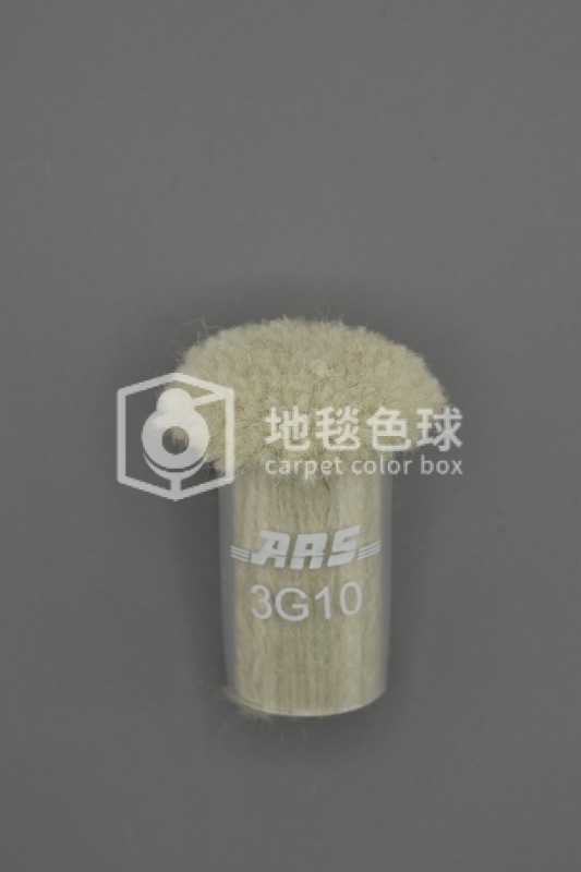 ARS 3G10