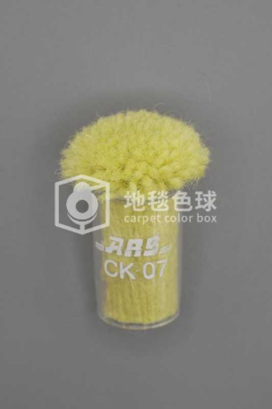 ARS CK07