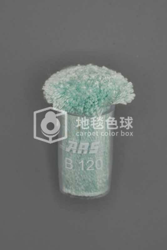 ARS B120