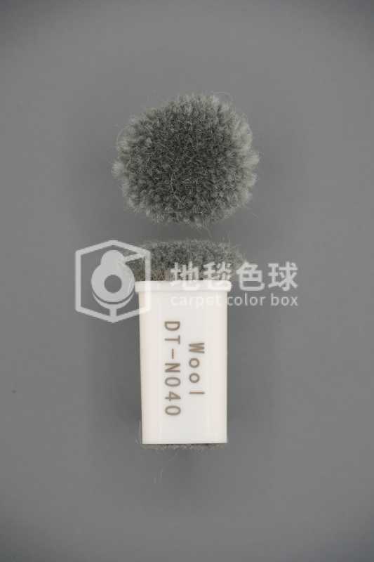 DT N040