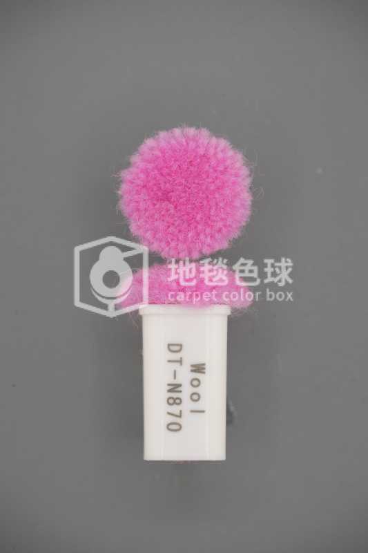 DT N870