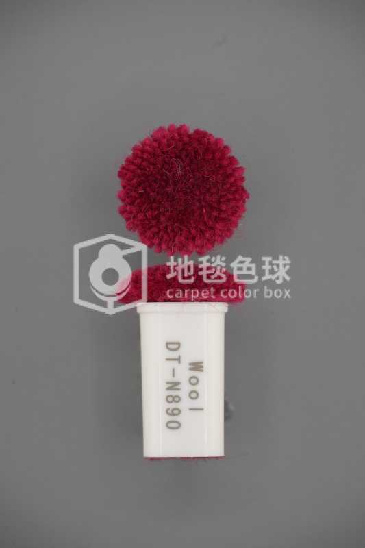 DT N890