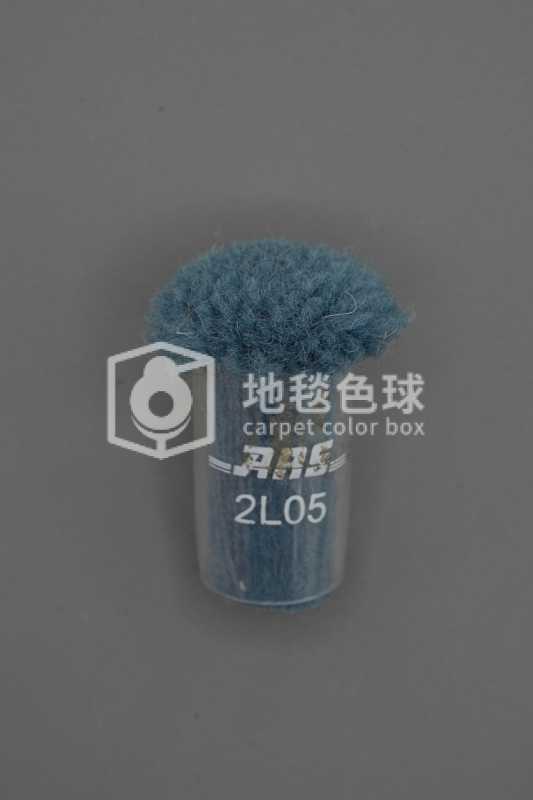 ARS 2L05