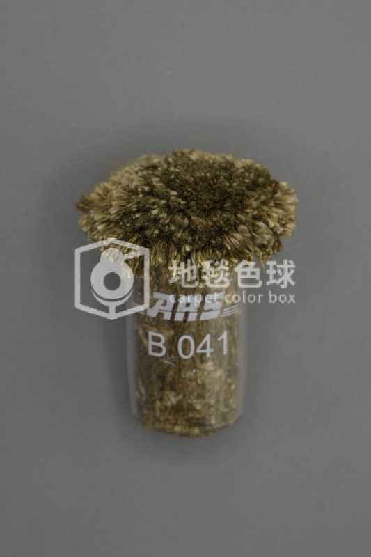 ARS B041