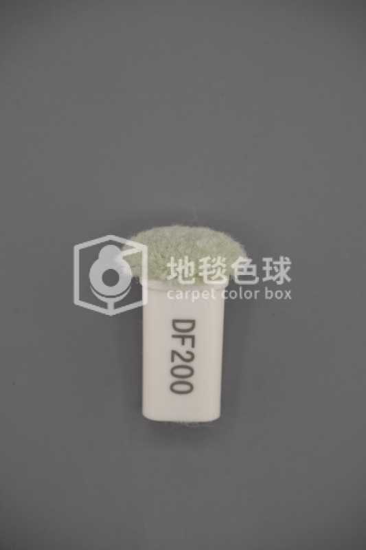 DF200