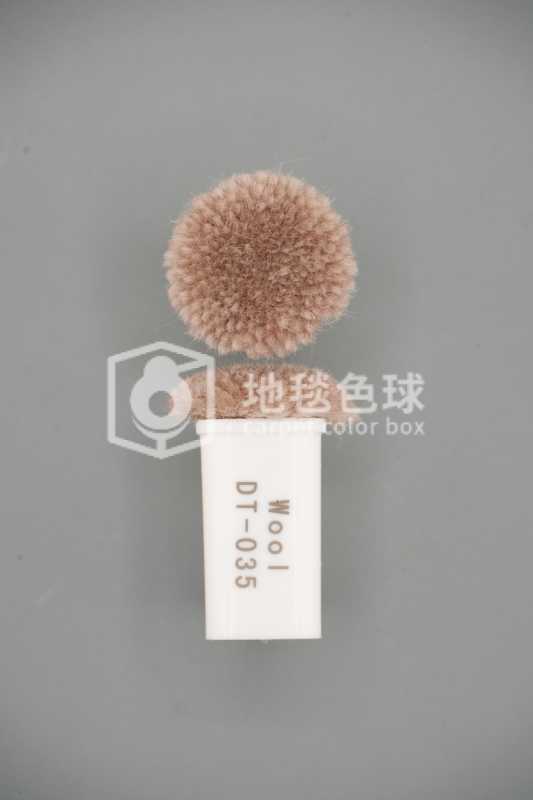 DT 035