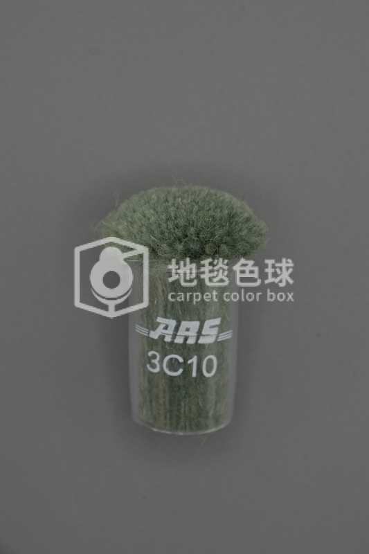 ARS 3C10