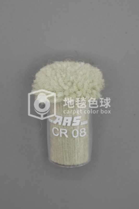 ARS CR08