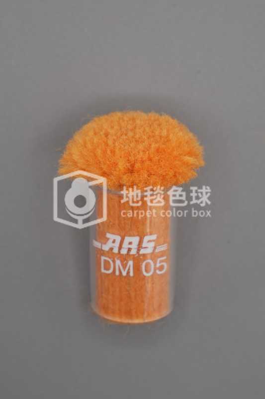 ARS DM05