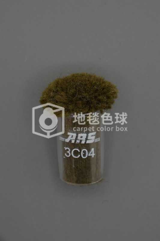 ARS 3C04