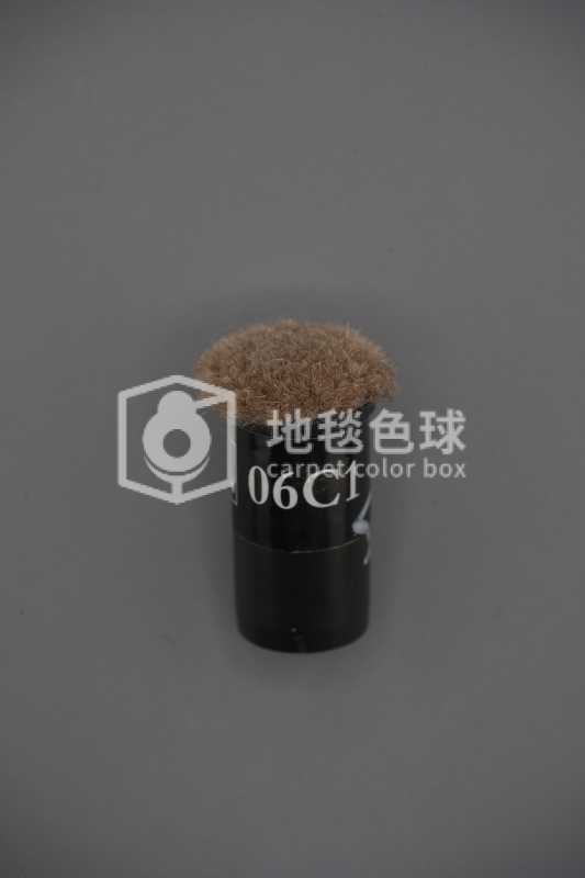 06C1