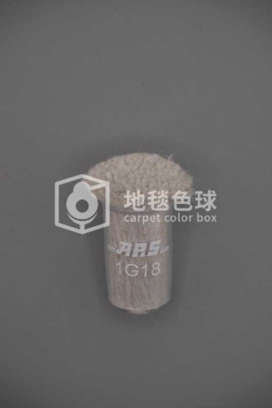 ARS 1G18
