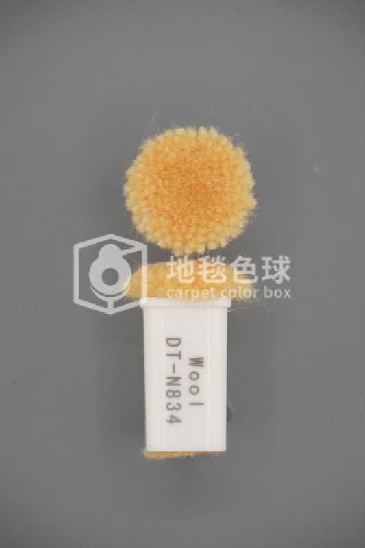 DT N834