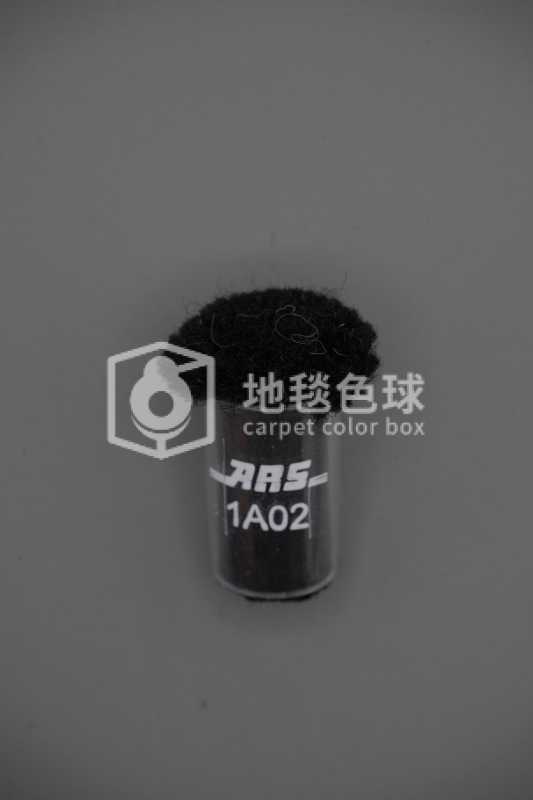 ARS 1A02