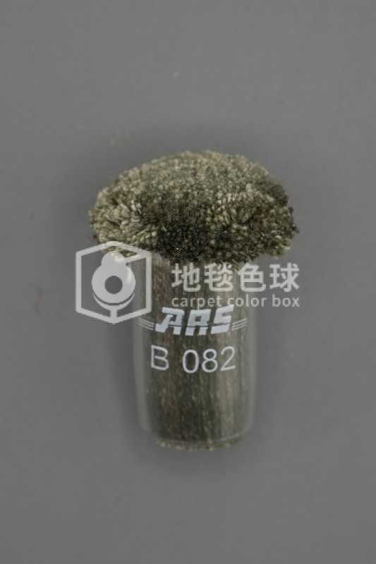 ARS B082