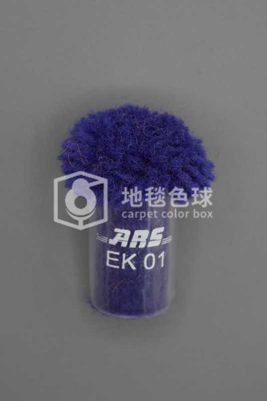 ARS EK01