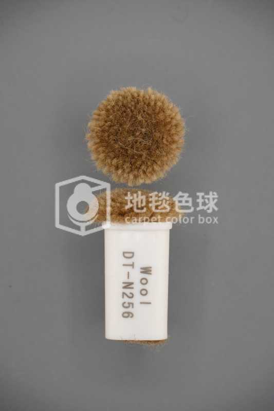 DT N256