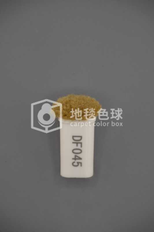 DF045