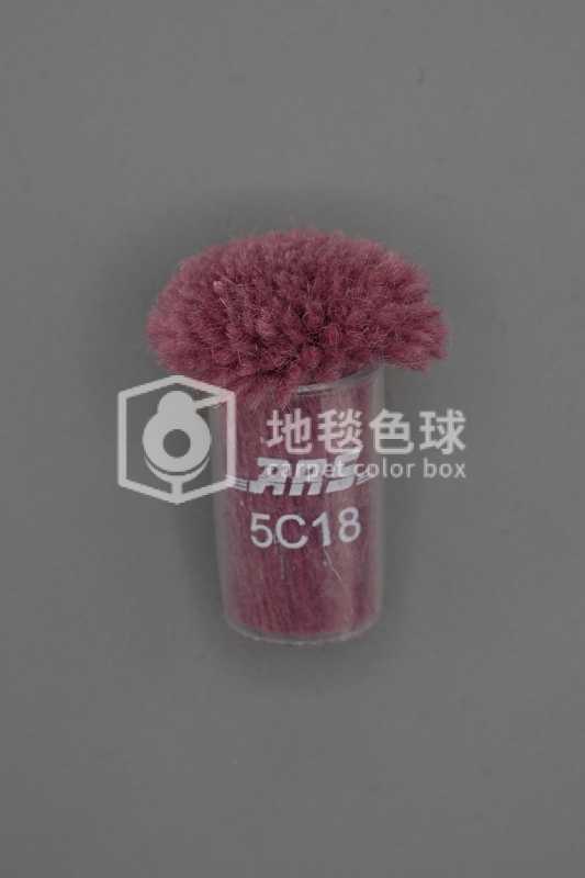 ARS 5C18
