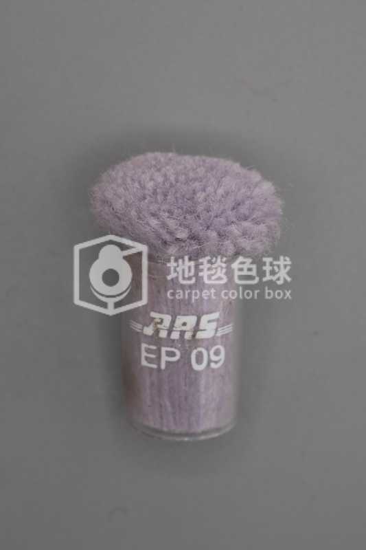 ARS EP09