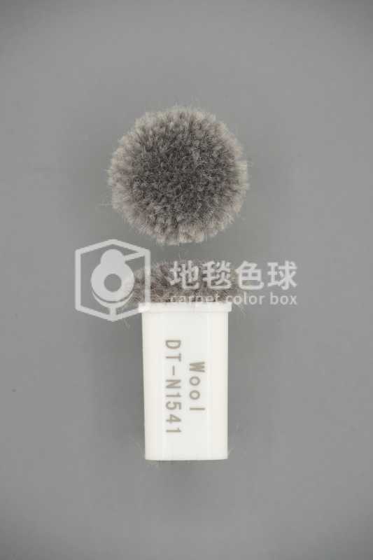 DT N1541
