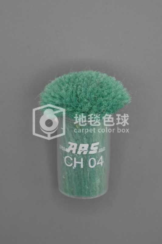 ARS CH04