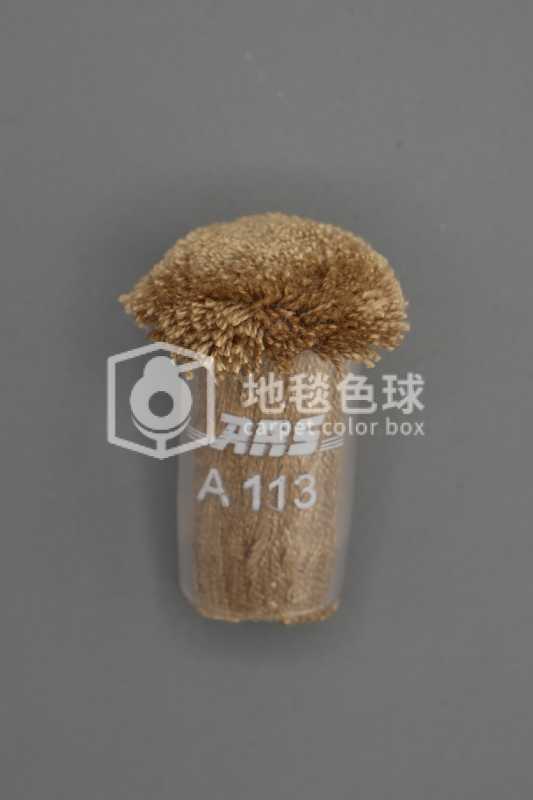 ARS A113