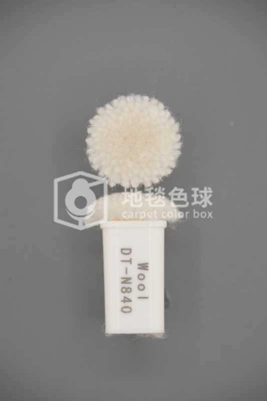 DT N840