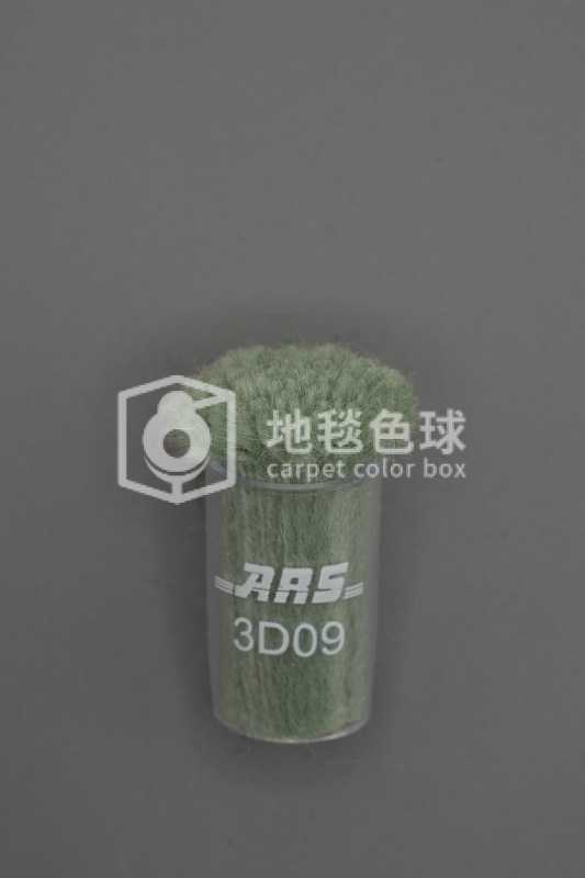 ARS 3D09