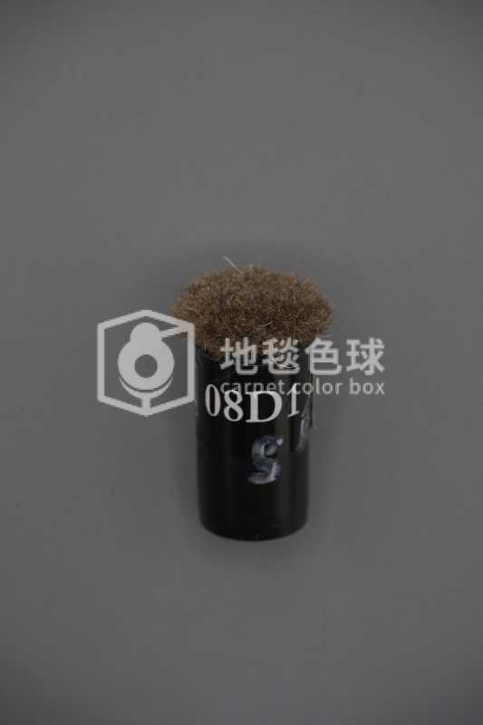 08D1