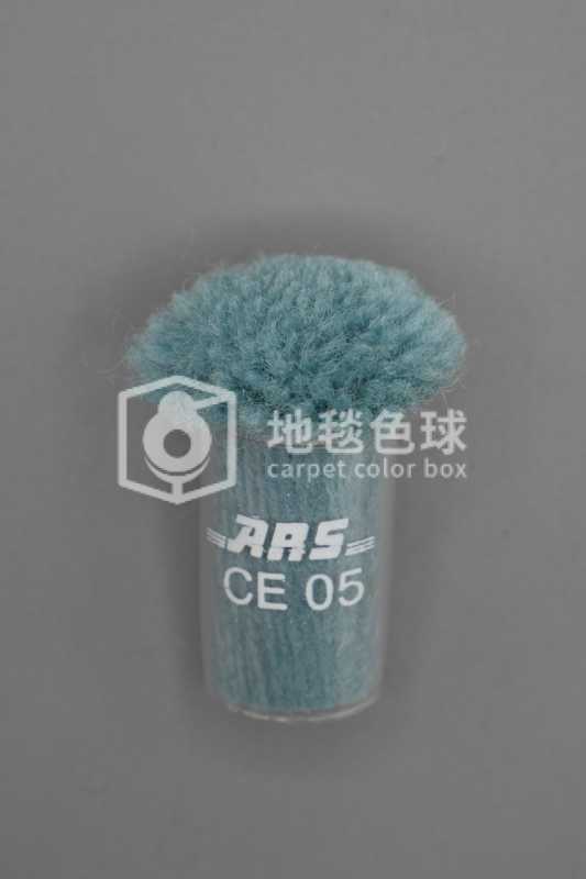 ARS CE05