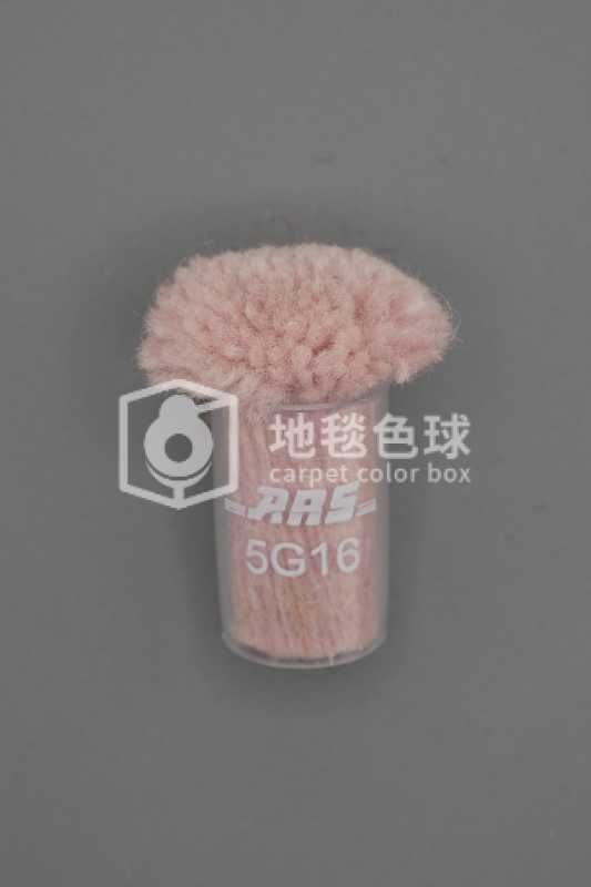 ARS 5G16