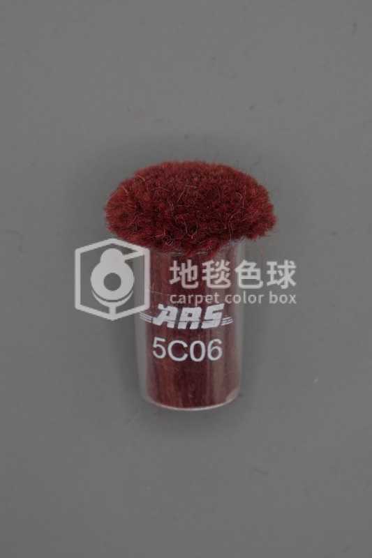 ARS 5C06