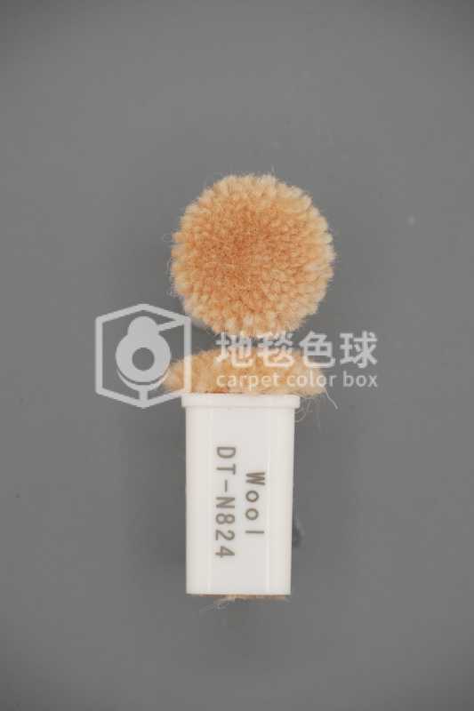 DT N824