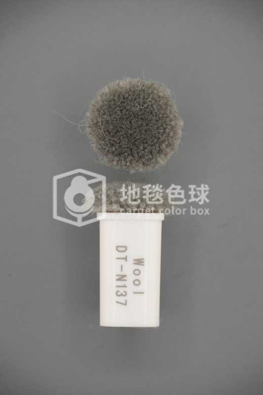 DT N137