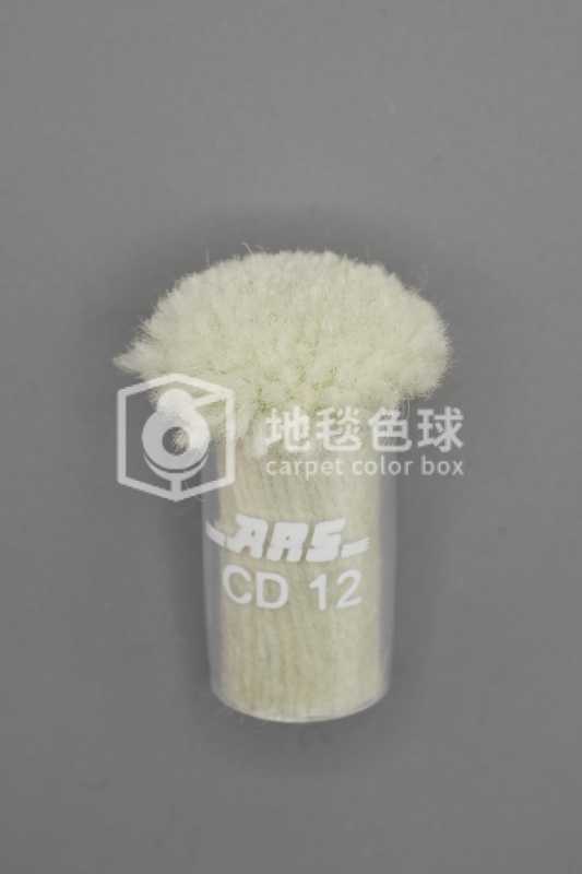 ARS CD12