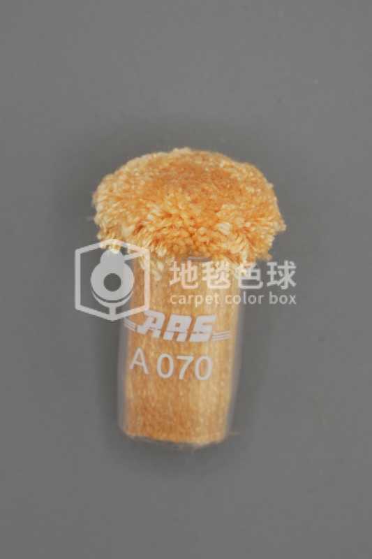 ARS A070