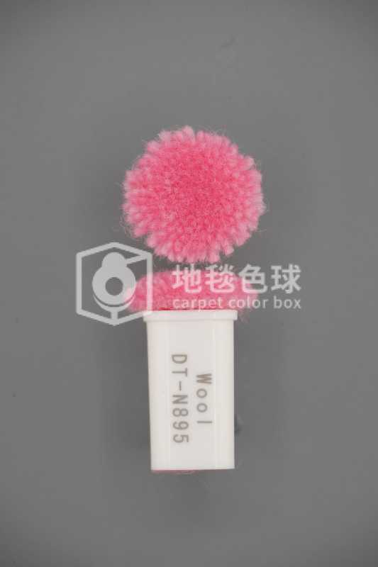 DT N895