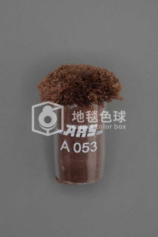 ARS A053