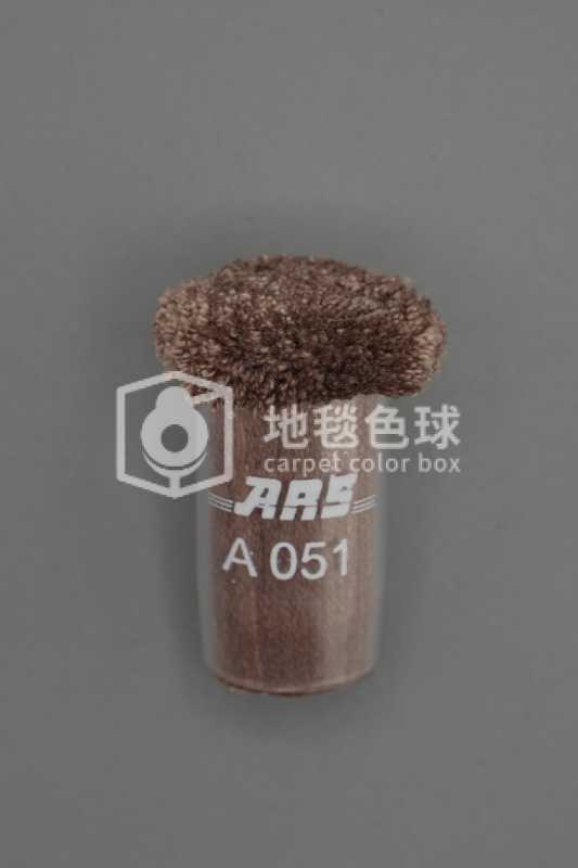 ARS A051