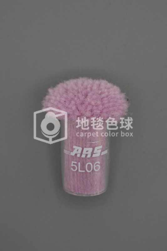 ARS 5L06