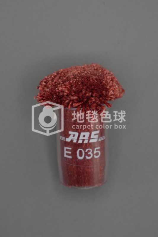 ARS E035