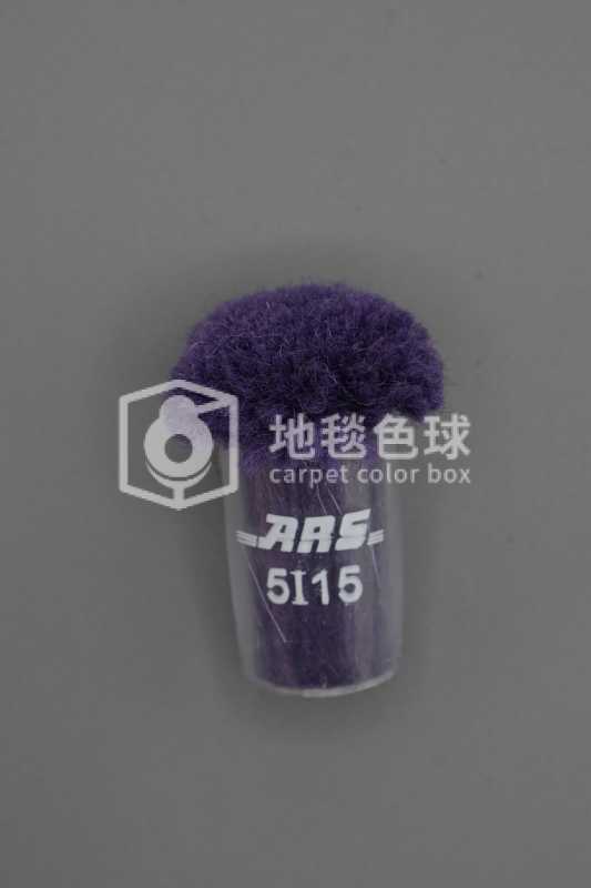 ARS 5I15