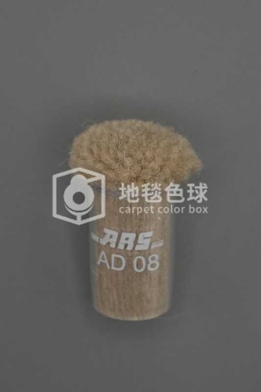 ARS AD08
