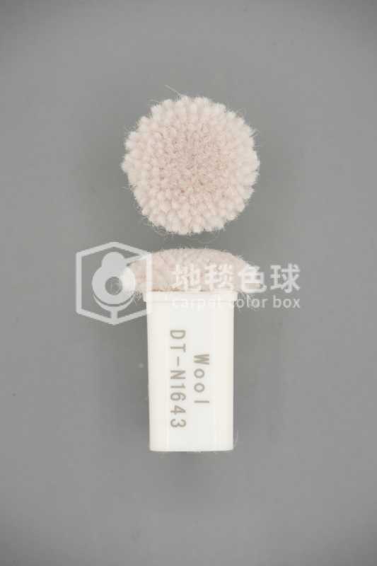 DT N1643