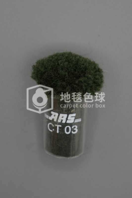 ARS CT03