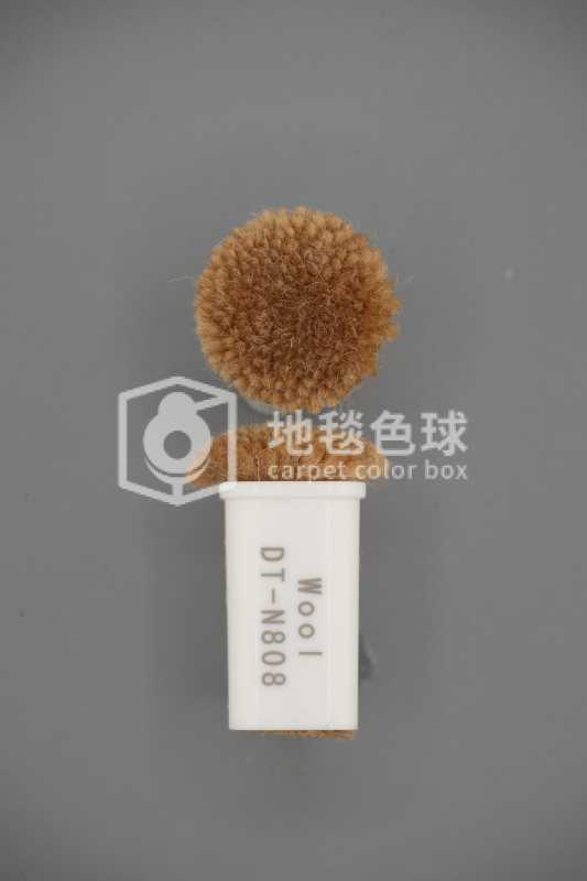 DT N808
