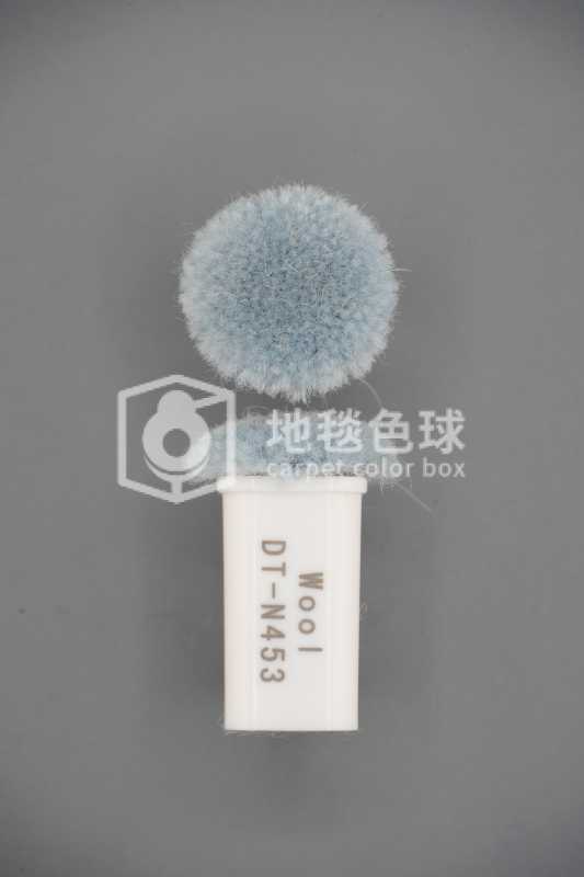 DT N453