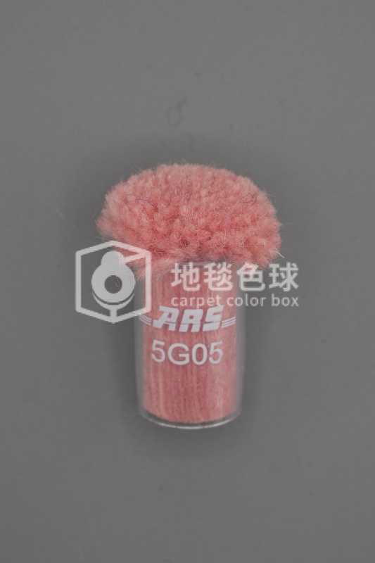 ARS 5G05